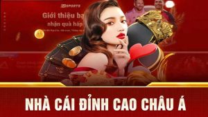 Giới thiệu sơ lược về Bsport