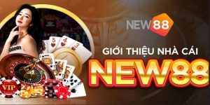 Tổng quan thông tin về New88